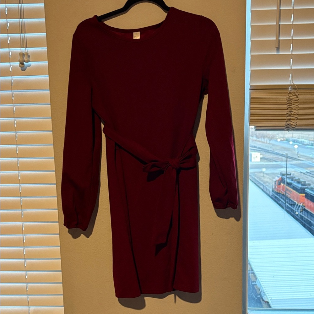 Elegant Long Sleeve Wine Dress